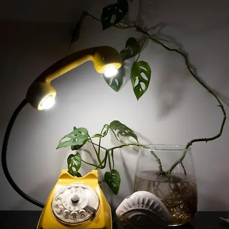 A Casa Di Carolina 알바